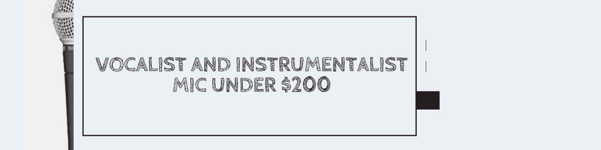 Vocalist and Instrumentalist Mic Under $200