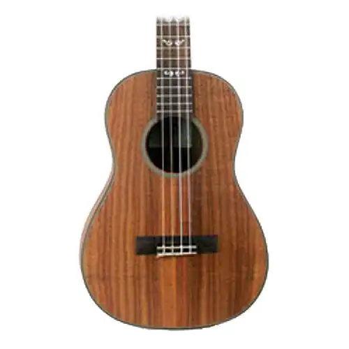 Kala KA-ASAC-B Solid Acacia Baritone Ukulele